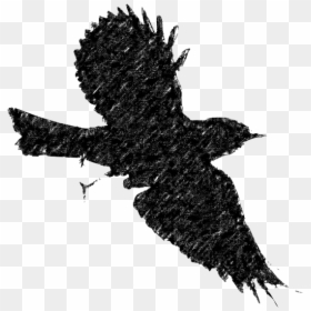 Bird Flight European Robin Silhouette Clip Art - Silhouette Bird Flying Jpg, HD Png Download - robin bird png