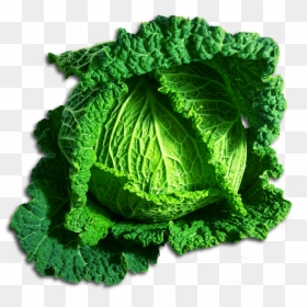 Green Cabbage - Imagenes De Col En Png, Transparent Png - collard greens png