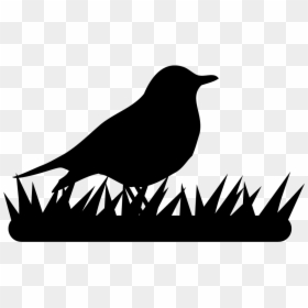 Perching Bird, HD Png Download - robin bird png