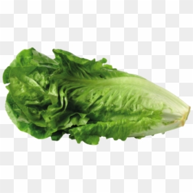 Greek Salad Lettuce Sandwich Clip Art Portable Network - Transparent Background Lettuce Transparent, HD Png Download - collard greens png
