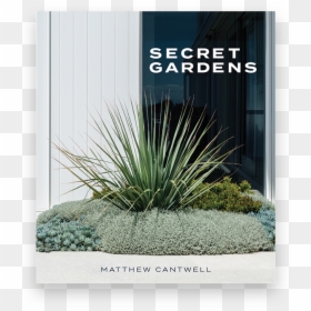 Secret Gardens Matthew Cantwell, HD Png Download - shrubbery png