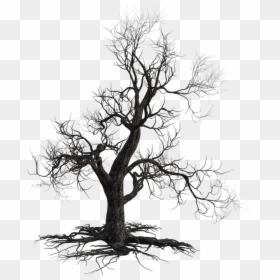 Dead Tree, Scary, Halloween, Nature, Autumn, Old - California Live Oak, HD Png Download - halloween tree png