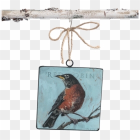 Animals Birds Advice From A Robin Inspirational Wood - Carolina Wren, HD Png Download - robin bird png