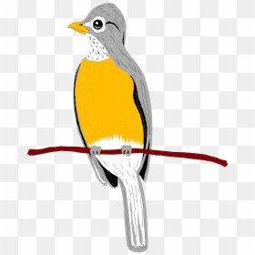 นก เกาะ Png, Transparent Png - robin bird png