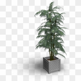 Bonsai , Png Download - Fabric Stain Remover, Transparent Png - bonsai png