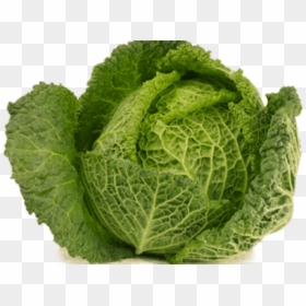 Cabbage Png Transparent Images Big Cabbage Transparent - Kapusta Włoska, Png Download - collard greens png