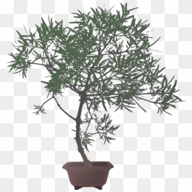 Transparent Bonsai Png - Flowerpot, Png Download - bonsai png