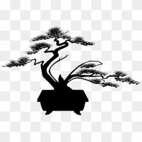盆栽 ヘア, HD Png Download - bonsai png