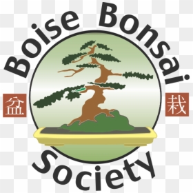 Transparent Bonsai Tree Clipart - Ancient Asian Culture Bonsai, HD Png Download - bonsai png