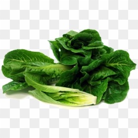 Romaine Lettuce Transparent Image - Romaine Lettuce Png, Png Download - collard greens png