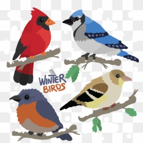 Transparent Bird On Branch Clipart - Bird, HD Png Download - robin bird png