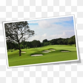 The Vintage - Mission Hills - Nilai Springs Golf & Country Club, HD Png Download - golf grass png