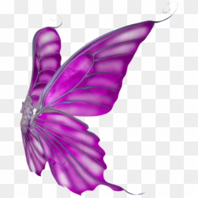 Butterfly Wings Png Clipart , Png Download - Alas De Mariposa Png, Transparent Png - butterfly wing png