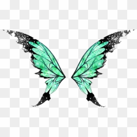 Butterfly Butterflywings Wings Angel Angelwings Wing - Transparent Fairy Wings Png, Png Download - butterfly wing png