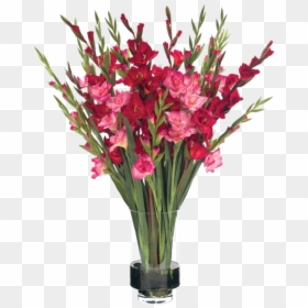 Гладиолусы Пнг, HD Png Download - gladiolus png