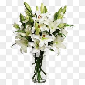 Flower,flowering Plant,lily,cut Flower,flower Arranging,stargazer - Flowers In A Vase Png, Transparent Png - gladiolus png