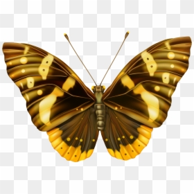 Yellow Butterfly Png - Butterfly Brown Png, Transparent Png - butterfly wing png