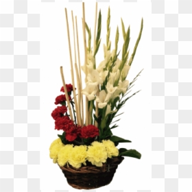 Carnation Flowers Arrangements - Carnation Flower Arrangement, HD Png Download - gladiolus png