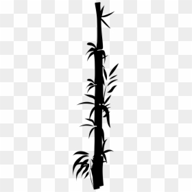 Oriental Bamboo Decal, HD Png Download - bamboo border png