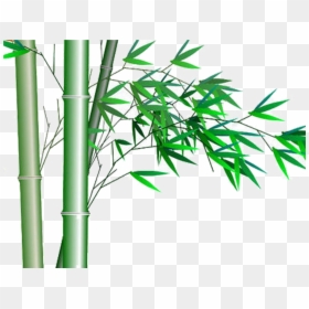 Clip Art Bamboo Graphics - Png 素材 竹子 素材, Transparent Png - bamboo border png