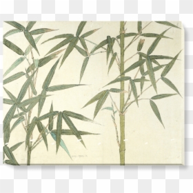 Bamboo Wallpaper Uk, HD Png Download - bamboo border png