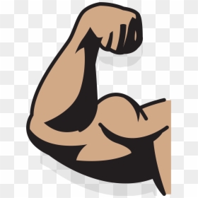 Muscle Drawing Augu Delms - Muscle Arm Cartoon Png, Transparent Png - arm.png
