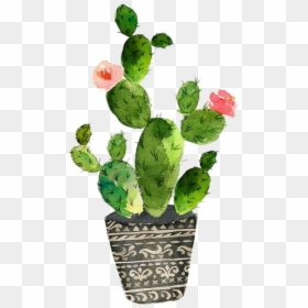 Image - Cactus Watercolor Clip Art, HD Png Download - cactus png tumblr