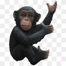 Plastic Monkey Life Size, HD Png Download - chimpanzee png