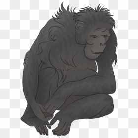 Ape, HD Png Download - chimpanzee png