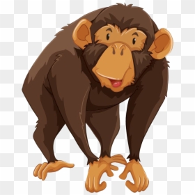 Transparent Chimpanzee Clipart - Chimpanzee Illustration, HD Png Download - chimpanzee png