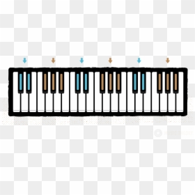 Clip Art Layout Of The Keyboard - Diagram Of Octave Piano, HD Png Download - piano clipart png