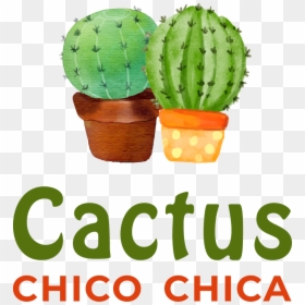Affordable - Quirky - Sweet - Fun - Decorative - Practical - Cactus, HD Png Download - cactus png tumblr