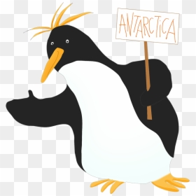 Macaroni Penguin Clipart - Clip Art, HD Png Download - penguin clipart png