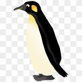 Transparent Emperor Png - King Penguin, Png Download - penguin clipart png