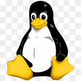 Logo De Linux Png, Transparent Png - penguin clipart png