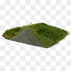Blade Of Grass Png, Transparent Png - blade of grass png