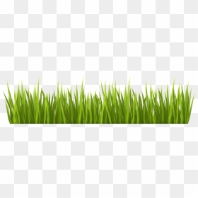 Spring Png Transparent Clip - Transparent Grass Png Clipart, Png Download - blade of grass png