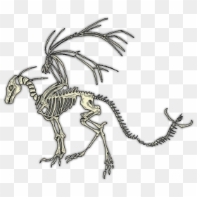 Dragon Skeleton No Background, HD Png Download - bone pile png