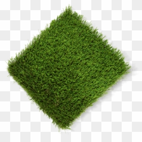 Lawn, HD Png Download - blade of grass png