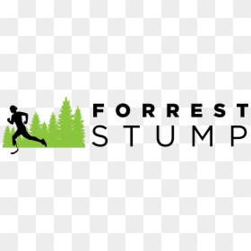 Forrest Stump, HD Png Download - forrest gump png