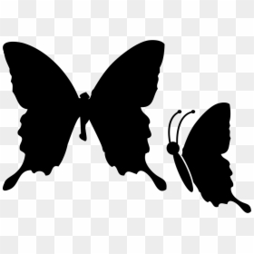 Image Transparent Stock Butterflies Svg Elegant, HD Png Download - white butterfly png