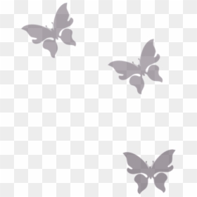 Butterfly - Grey Butterfly Transparent Background, HD Png Download - white butterfly png