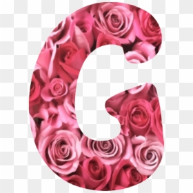 Pink,flower,garden Roses - Flower Alphabet Letter W, HD Png Download - flower garden png