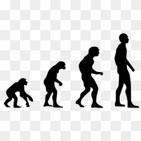 Evolution And The Atonement Of Jesus Christ - Human Evolution Transparent Background, HD Png Download - jesus silhouette png