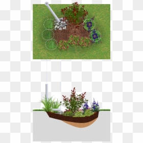 Rain Garden Png, Transparent Png - flower garden png