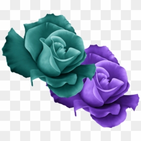 Transparent Purple Roses Png - Violet And Green Rose, Png Download - flower garden png