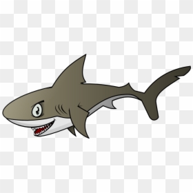 Shark6 Png - Shark Clıpart, Transparent Png - cartoon shark png