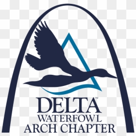 Delta Waterfowl, HD Png Download - st louis arch png