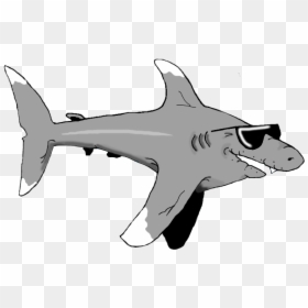 Clipart Shark Grandpa - Grandpa Shark Cartoon, HD Png Download - cartoon shark png