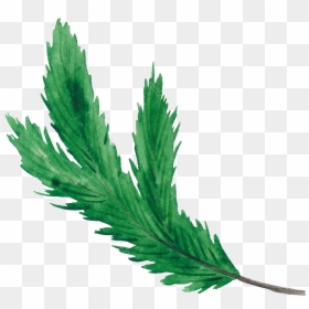 Christmas Leaf Png Green Christmas Leaf Christmas Transparent - Transparent Leaf Vector Png, Png Download - christmas vector png